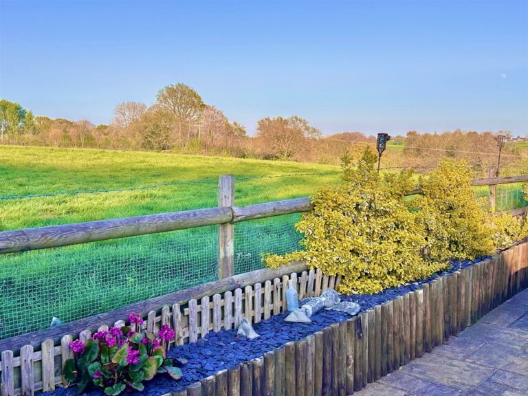 Property Image 55