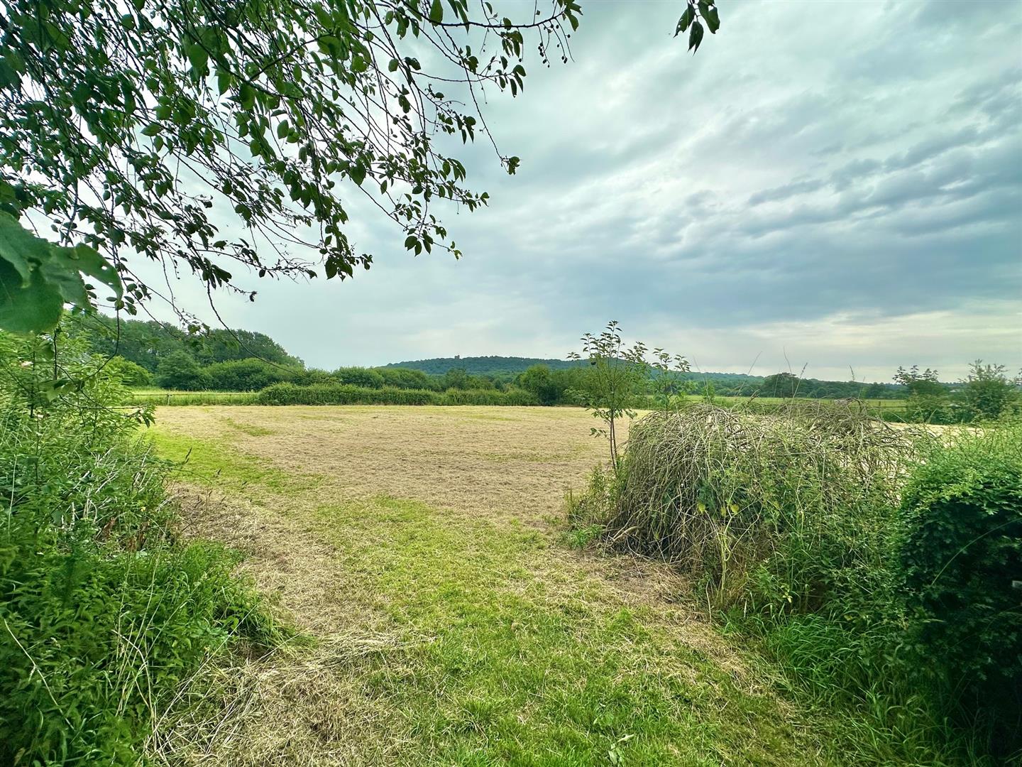 Property Image 46