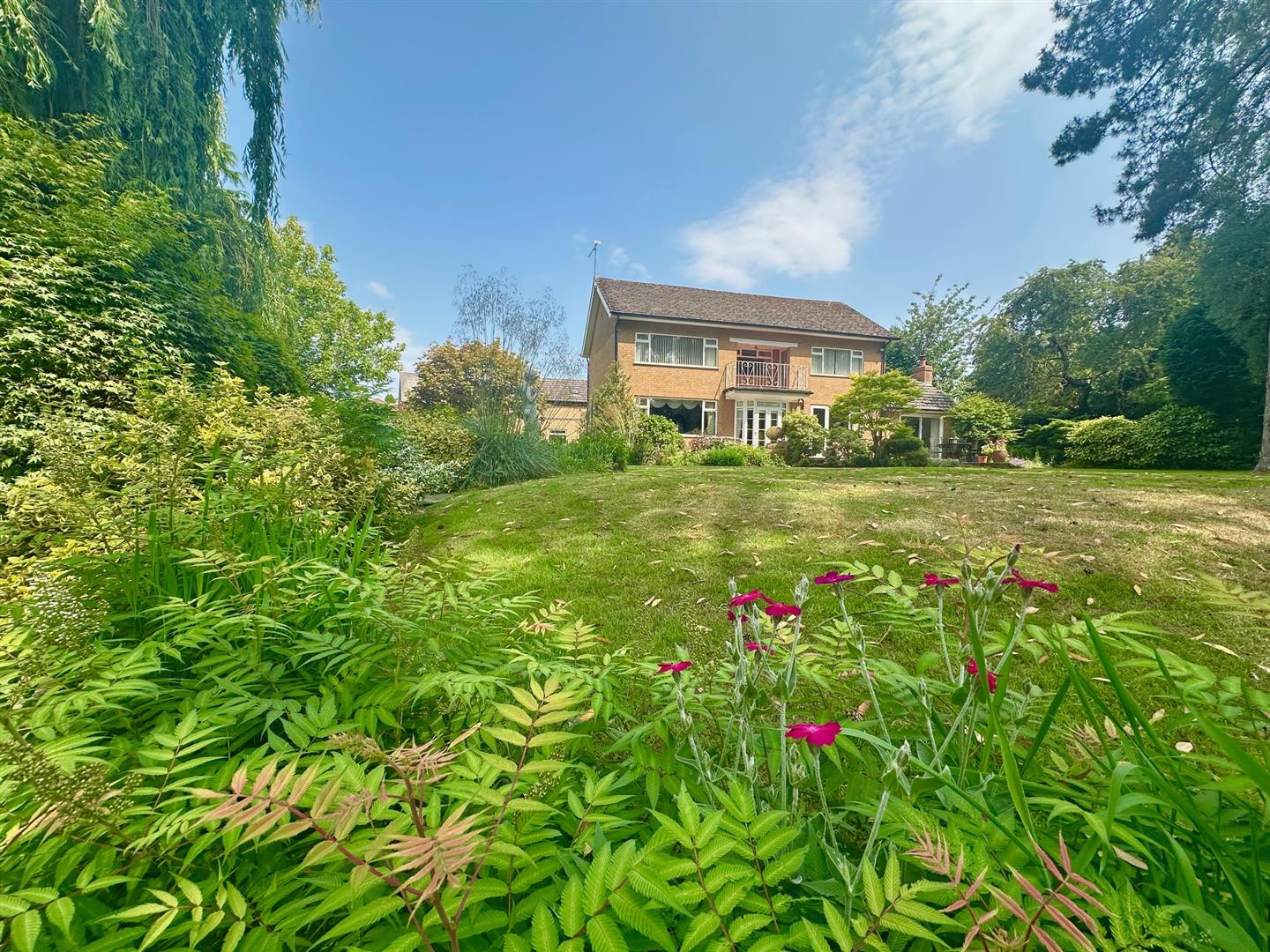 'The Meadows', 21 Image