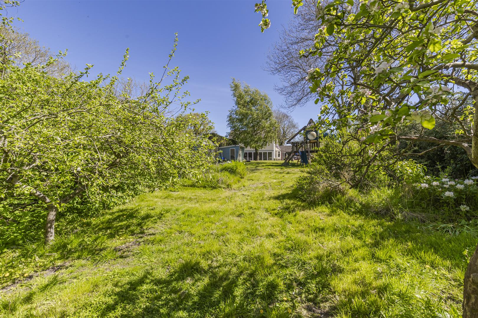 Property Image 47