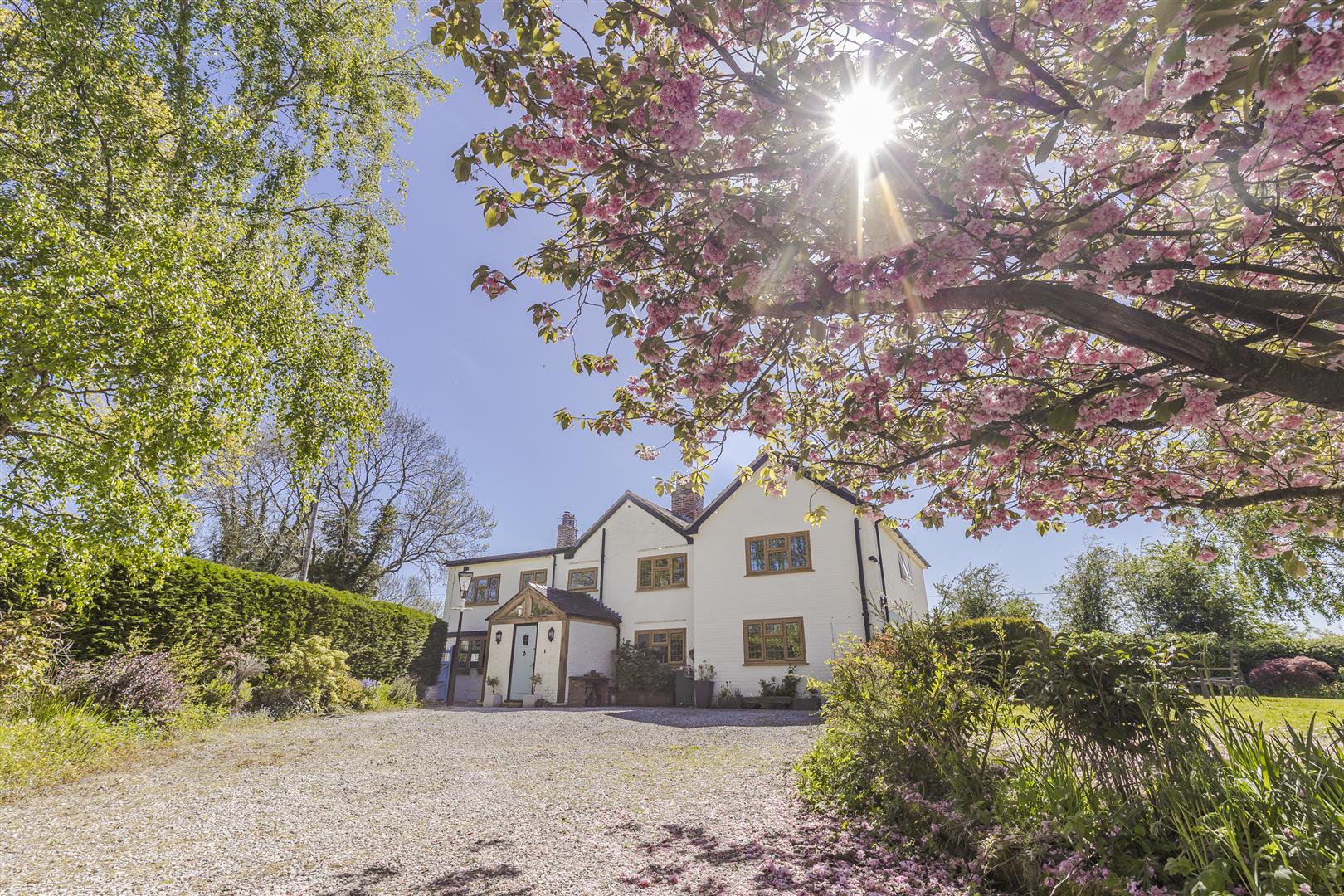Property Image 60