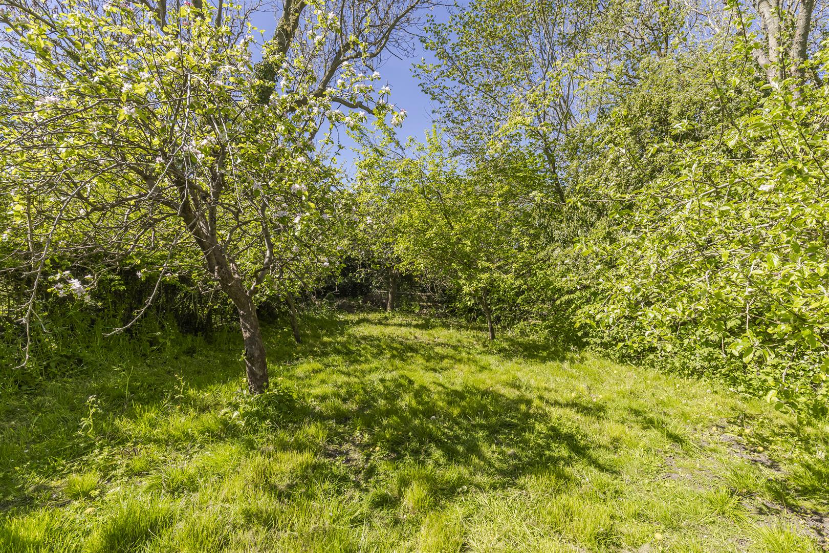 Property Image 61