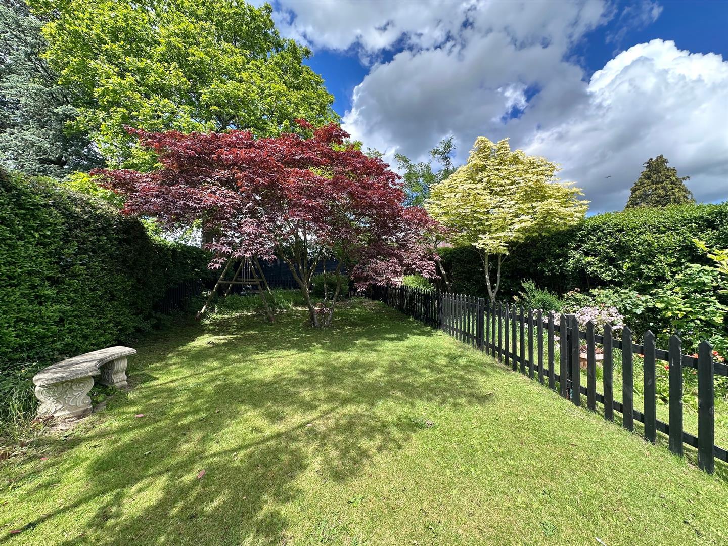 Property Image 46