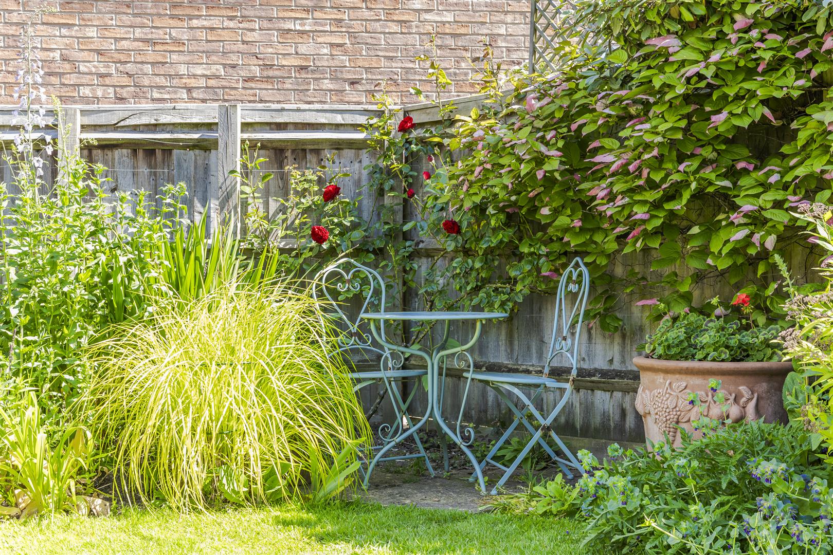 Property Image 42