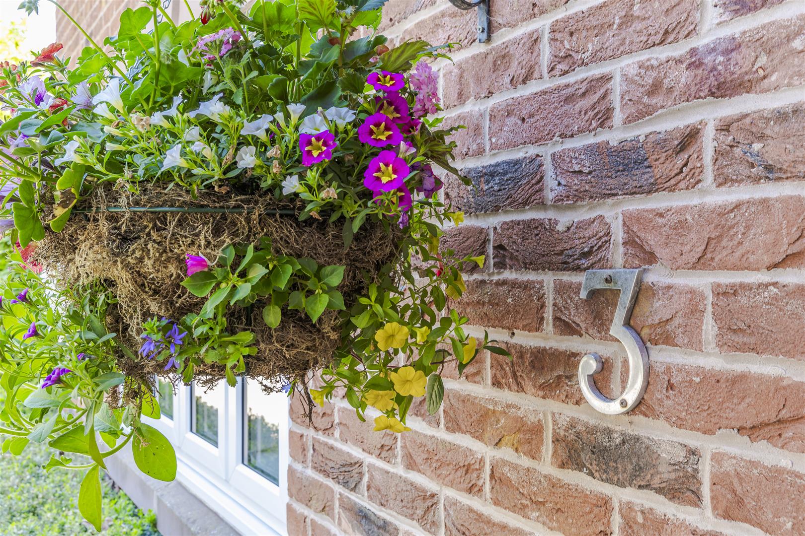 Property Image 48