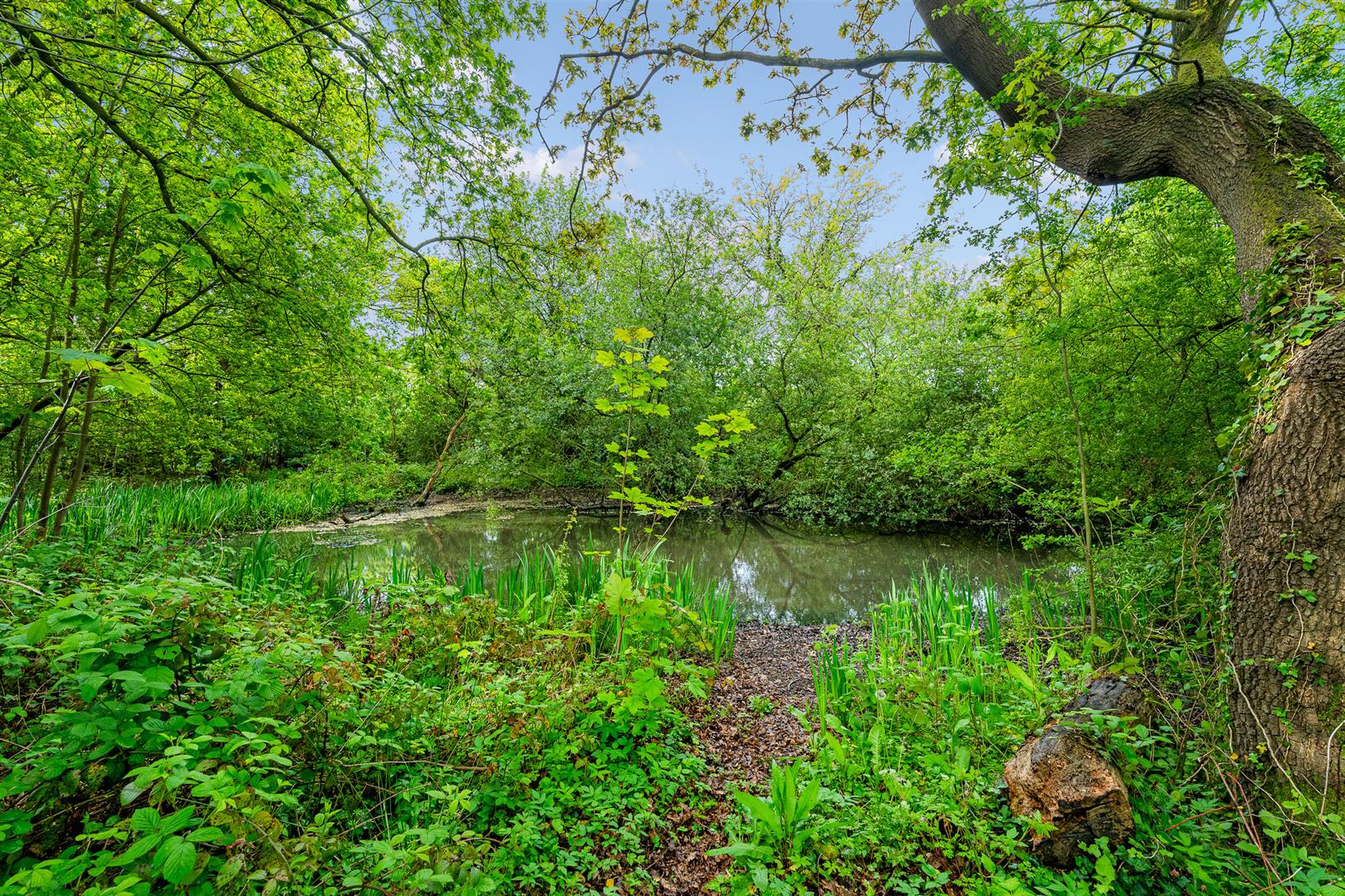 Property Image 28