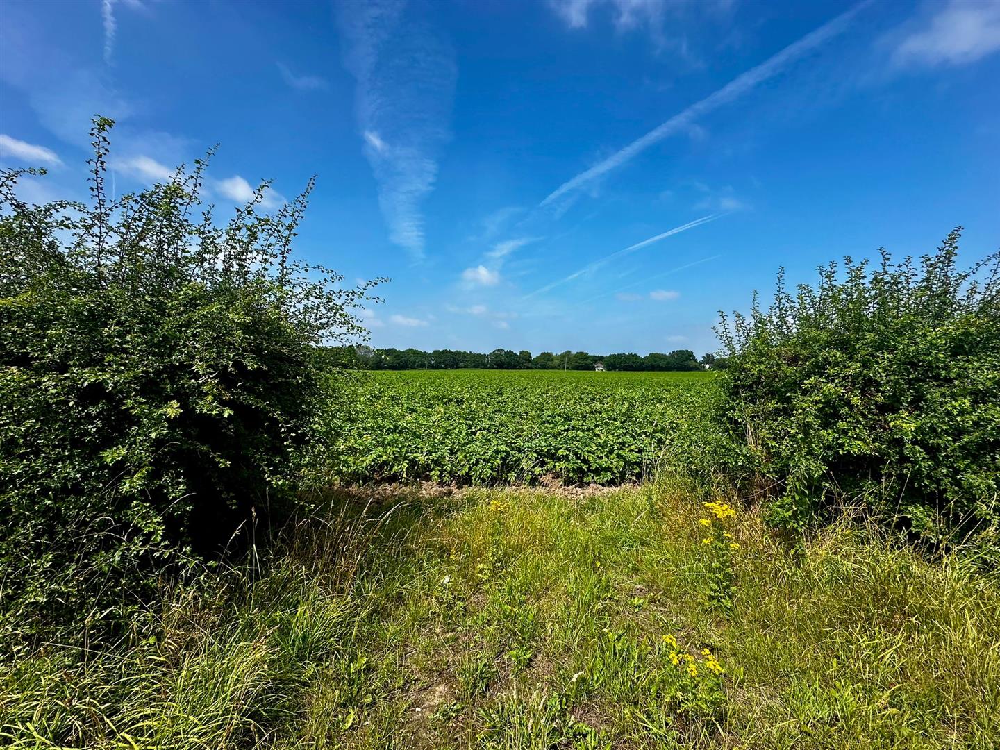 Land Adjoining Image