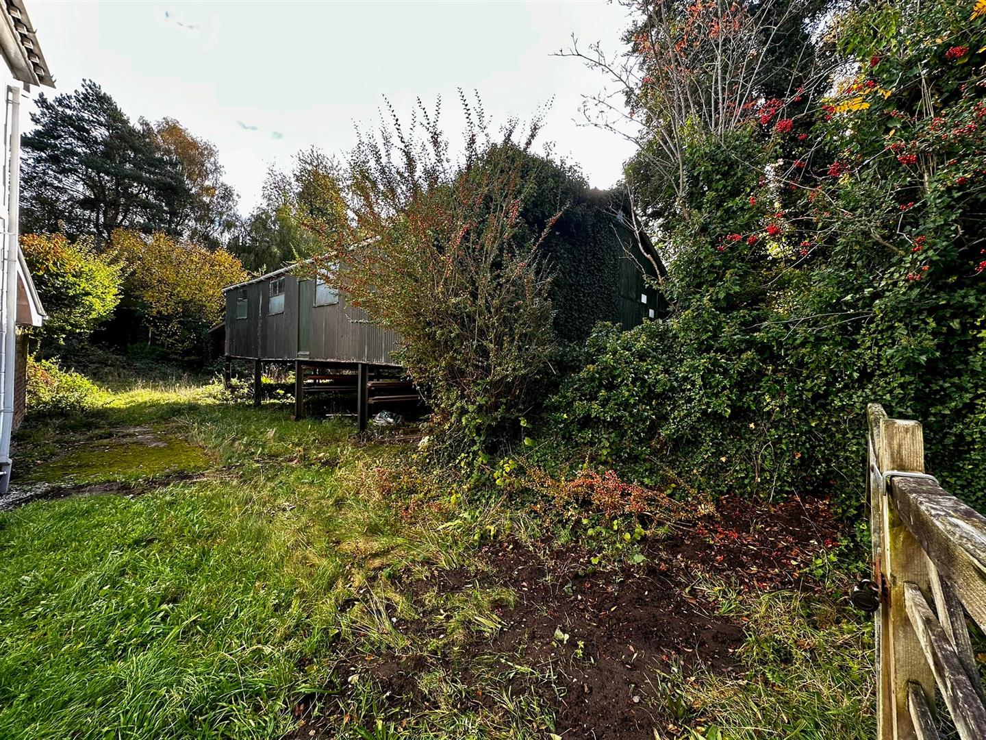 The Timber Yard Image