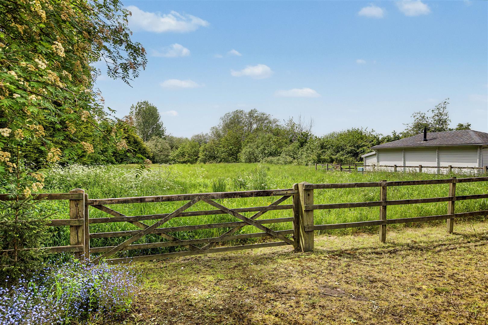 Property Image 36