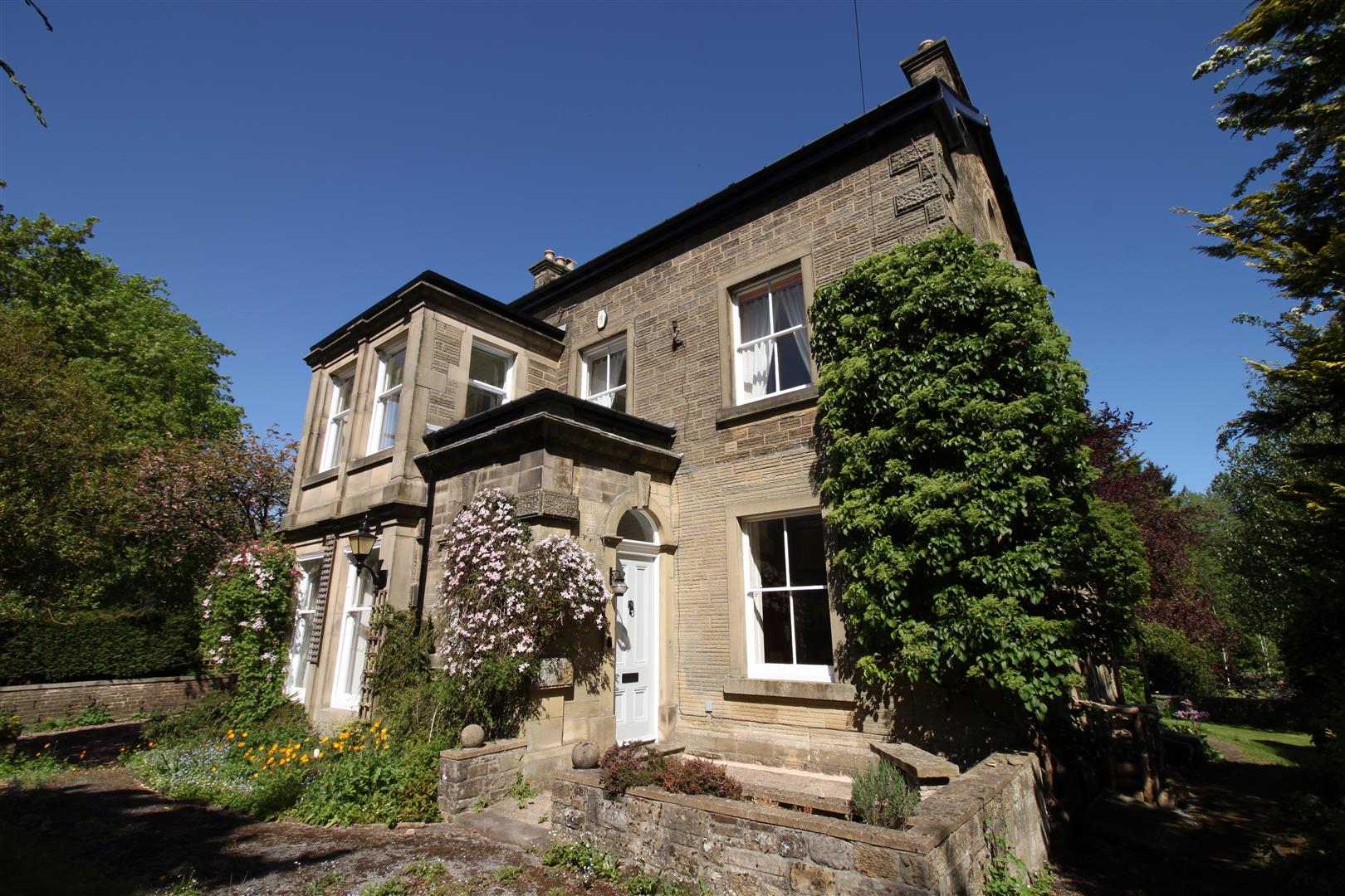 Property Image 42