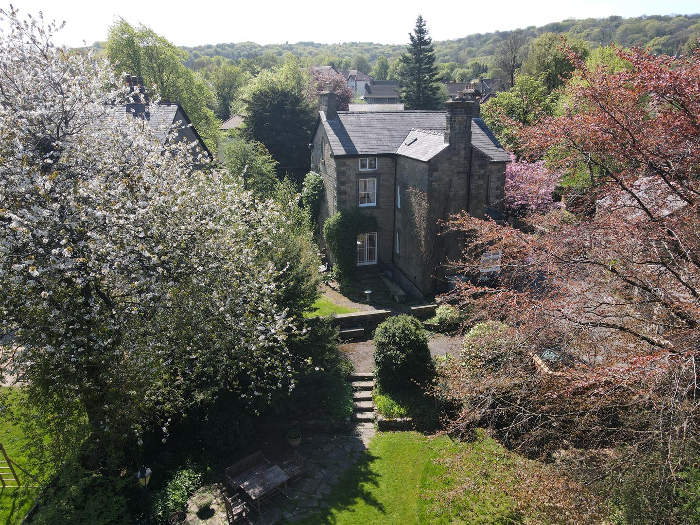 Property Image 45