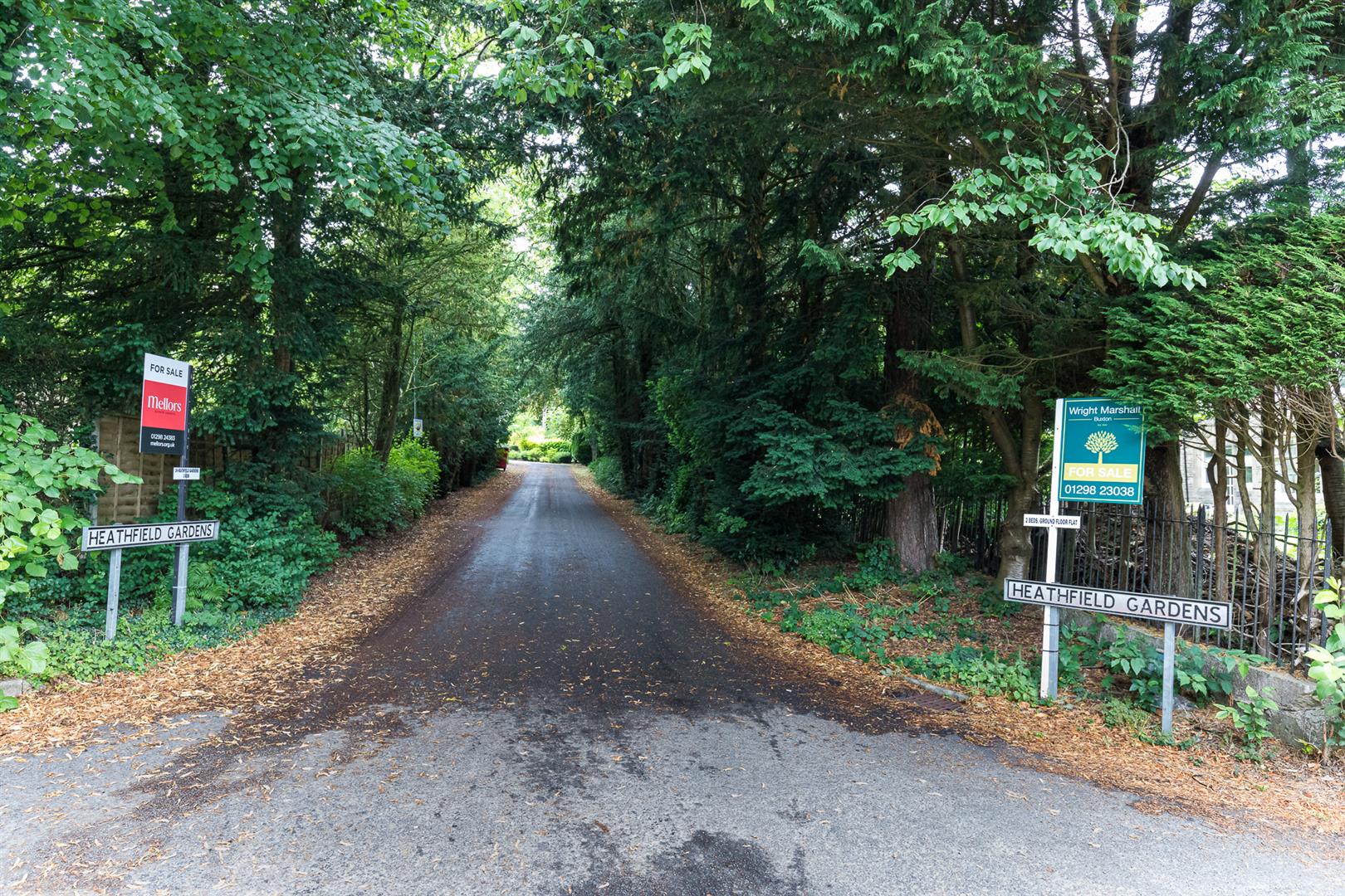 Property Image 24