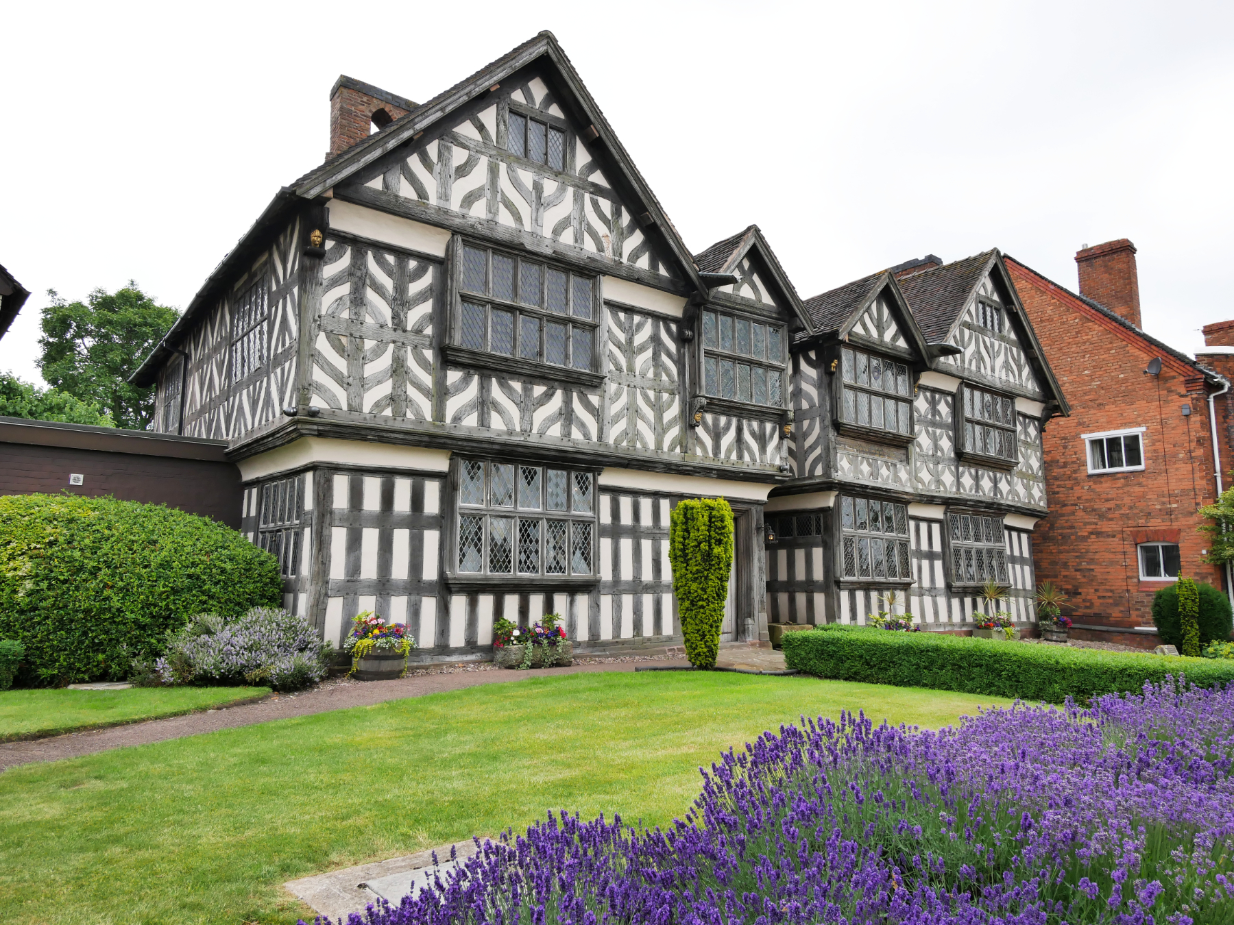 Judith Wright - Knutsford